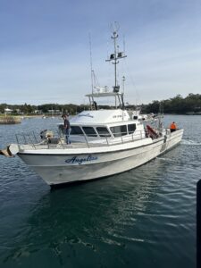 FV Angelica
