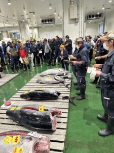 Toyosu Tuna Auction